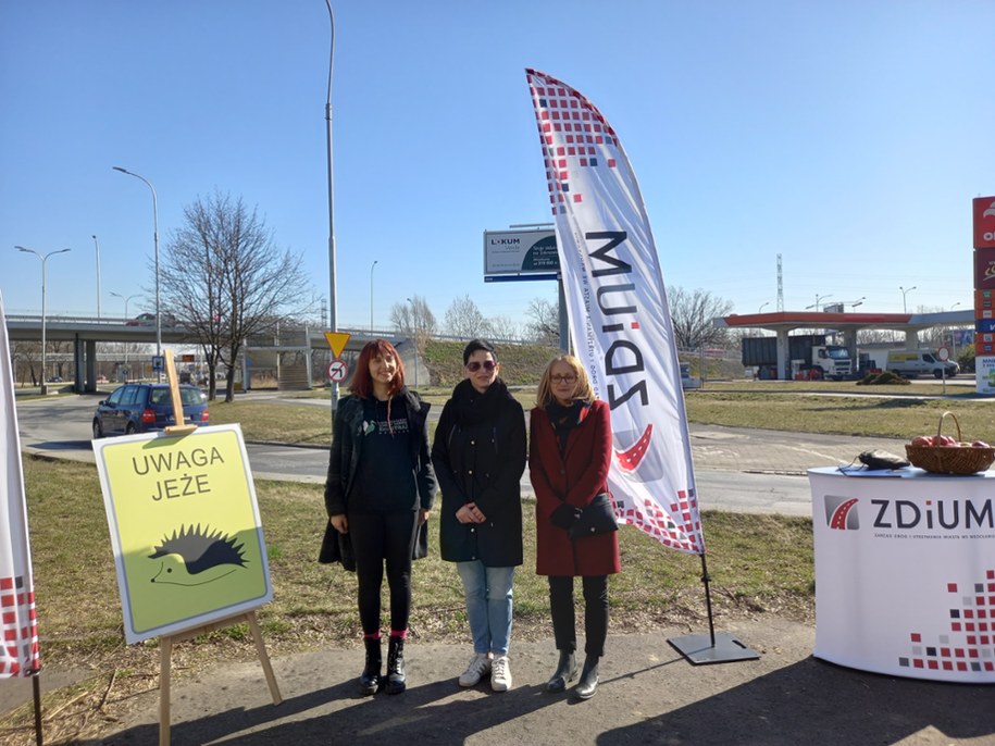 Znak Informujący o miejscach wędrówek jeży /Zarząd Dróg i Utrzymania Miasta we Wrocławiu  /