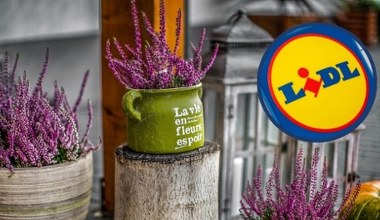 Znak, że jesień jest coraz bliżej! Lidl przecenia sezonowy klasyk