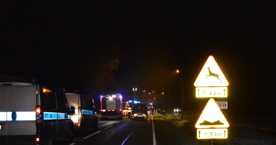 Znaki ostrzegały o zagrożeniu ze strony zwierząt /Policja