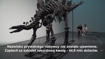 Znalazł szkielet stegozaura w swoje urodziny. Rekordowa cena na aukcji