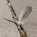 Znalazłeś je przypadkiem? Będziesz mieć szczęścia co niemiara