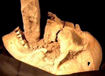Znaleziona w Wenecji przebita kamiennym kołkiem czaszka kobiety uznanej za wampira... /MWMedia