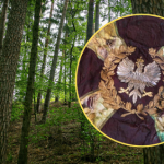 Znaleziono historyczny skarb pod Tomaszowem Lubelskim. Jest w bardzo dobrym stanie