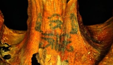 Znaleziono kolejne wytatuowane mumie egipskie