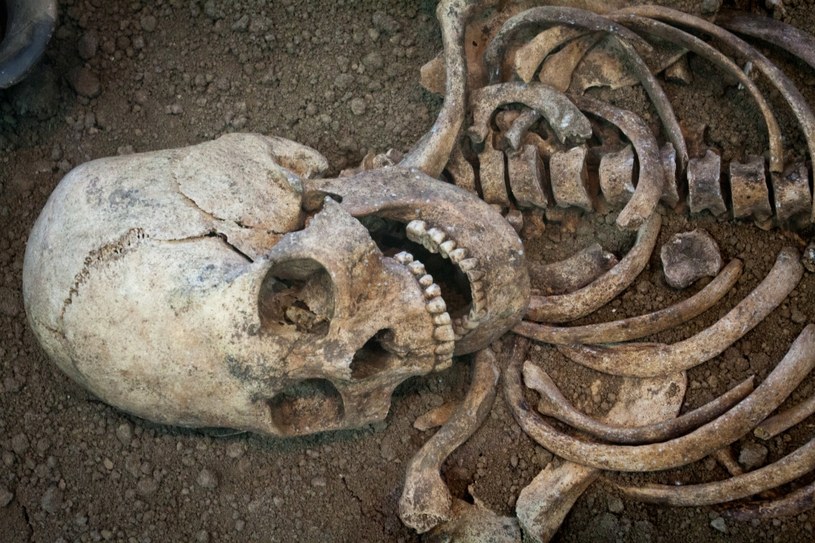 Znaleziono szkielet oraz wysokiej jakości artefakty z epoki miedzi /mironovm /123RF/PICSEL