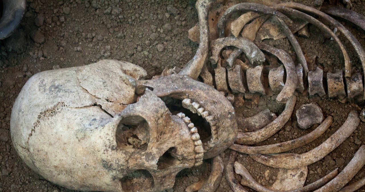 Znaleziono szkielet oraz wysokiej jakości artefakty z epoki miedzi /mironovm /123RF/PICSEL