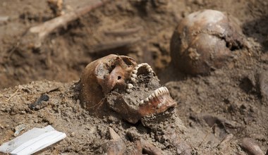 Znaleziono szkielet w piwnicy dawnego więzienia UB