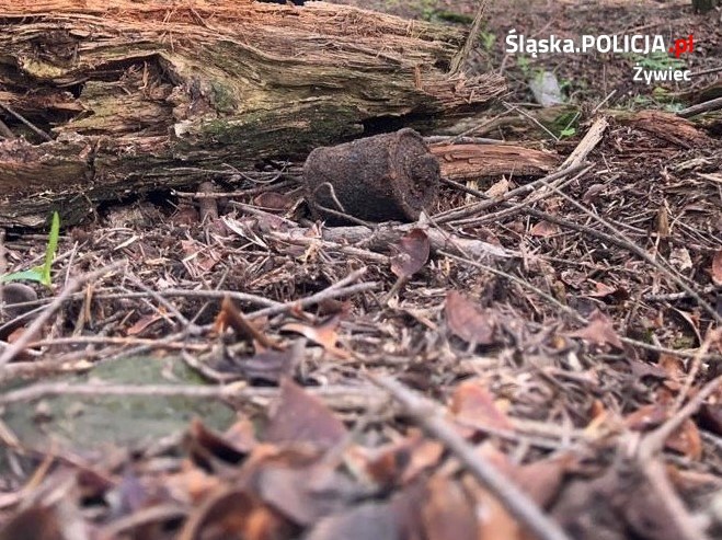 Znaleziony granat z czasów II wojny światowej /Policja w Żywcu /Policja