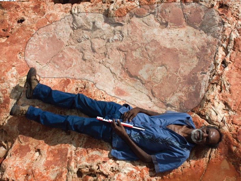 Znaleziony ocisk stopy dinozaura mierzy 1,75 m /materiały prasowe