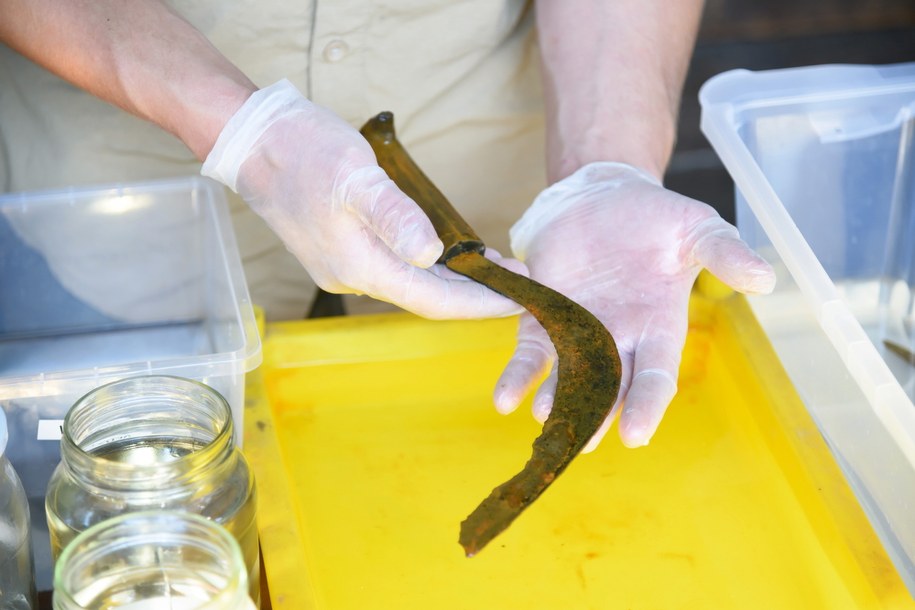 Znaleziska archeologiczne zaprezentowane na Ostrowie Lednickim /Jakub Kaczmarczyk /PAP