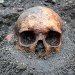Znaleźli czaszki na plaży w Szkocji. Okazały się wielkim skarbem