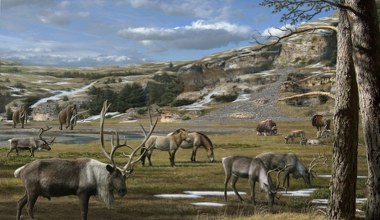 Znaleźli DNA olbrzyma epoki lodowcowej. Było na włóczni myśliwych