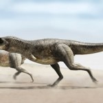 Znaleźli drapieżnego dinozaura. Przebijał nawet wielkiego tyranozaura