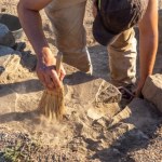 Znaleźli "gumę" do żucia sprzed 6 tys. lat. To skarbnica DNA