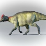 Znaleźli mumię dinozaura. Przecierają oczy. On miał kopyta!