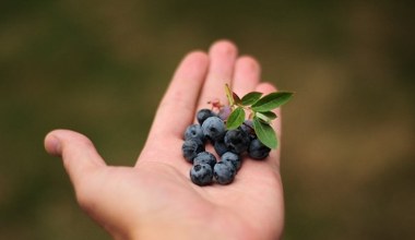 Znaleźli naczynia sprzed tysięcy lat. Ujawniają sekrety diety starożytnych 