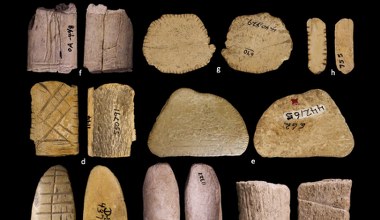 Znaleźli najstarsze kości do gry. Mają ponad 12 tys. lat