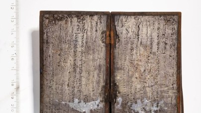 Znaleźli to w średniowiecznej latrynie. Archeolodzy przecierali oczy ze zdumienia
