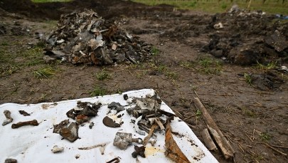 Znaleźli w polu niemiecki bombowiec. Legenda okazała się prawdą
