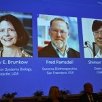 Znamy laureatów Nagrody Nobla w dziedzinie medycyny. Instytut Karolinska ogłosił decyzję