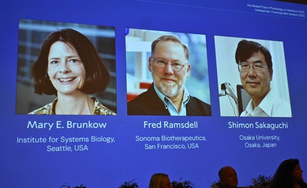 Znamy laureatów Nagrody Nobla w dziedzinie medycyny. Instytut Karolinska ogłosił decyzję