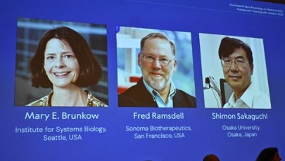 Znamy laureatów Nagrody Nobla w dziedzinie medycyny. Instytut Karolinska ogłosił decyzję