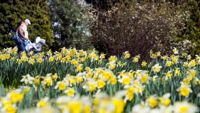 Znamy prognozy pogody na początek kwietnia