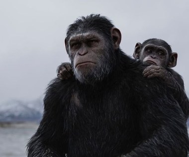 Znamy tytuł nowego filmu serii "Planeta Małp". To będzie początek trylogii!