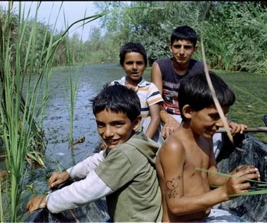 Znamy zwycięzców 60. Krakowskiego Festiwalu Filmowego