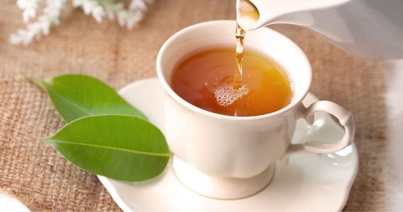 Znana herbata jest niebezpieczna dla zdrowia! /adobestock /INTERIA.PL