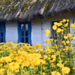 Znasz majowe przysłowia? Sprawdź, ile z nich pamiętasz