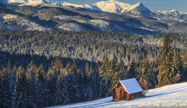 Znasz te przysłowia na luty? Sprawdź się w naszym quizie