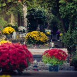 Znicz czy kicz? Najbardziej kontrowersyjne ozdoby z polskich cmentarzy