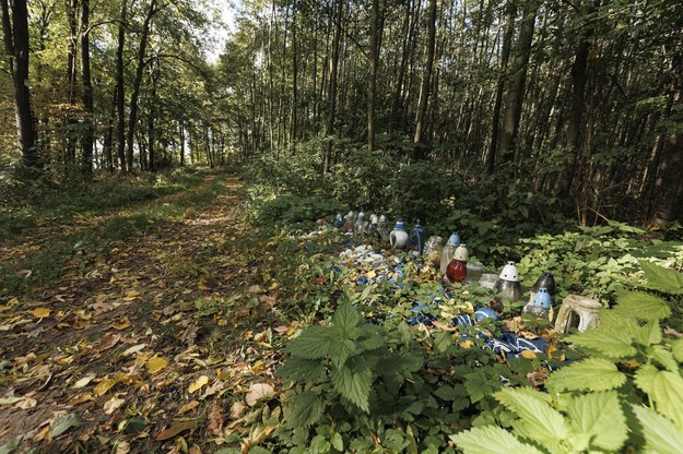 Znicze na miejscu zbrodni w lesie między miejscowościami Imbramowice i Domanice /Aleksander Koźmiński /PAP