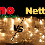 Znicze, wkłady i kwiaty – porównałam ceny w Dino i Netto! Różnice zaskakują