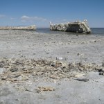 pył Znikające jezioro odsłoniło toksyczną tajemnicę. To zabójczy pył