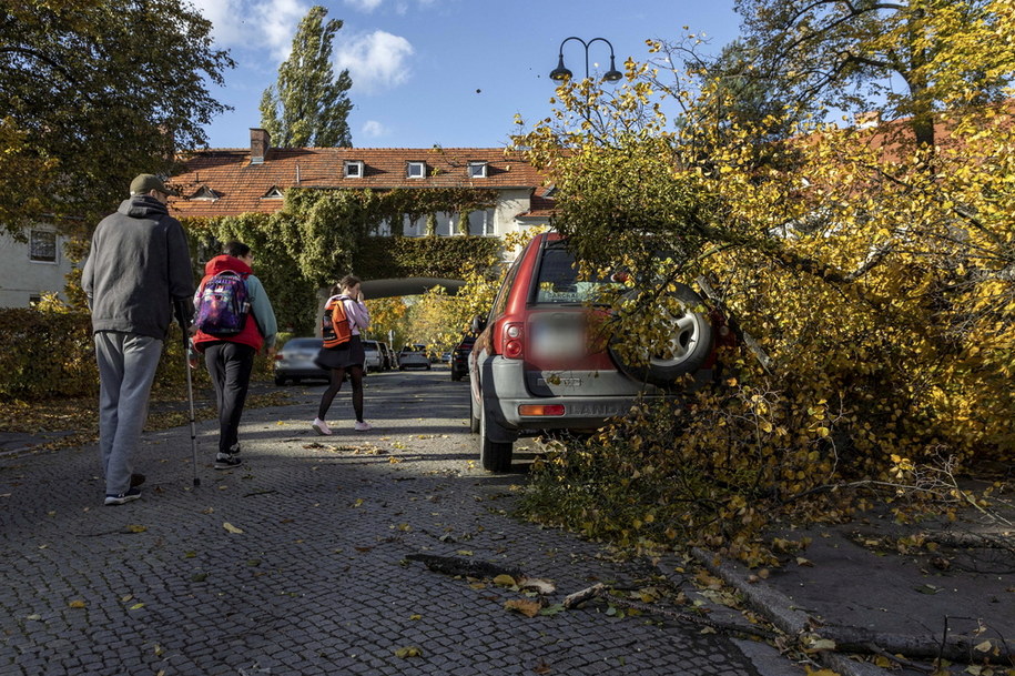 Zniszczenia na ulicy Kosynierów Gdyńskich we Wrocławiu po wichurach, które przechodzą nad Dolnym Śląskiem /Aleksander Koźmiński /PAP