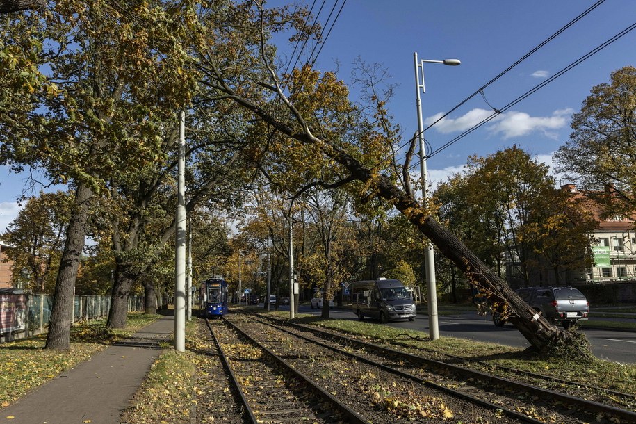 Zniszczenia na ulicy Mickiewicza we Wrocławiu, po wichurach /Aleksander Koźmiński /PAP
