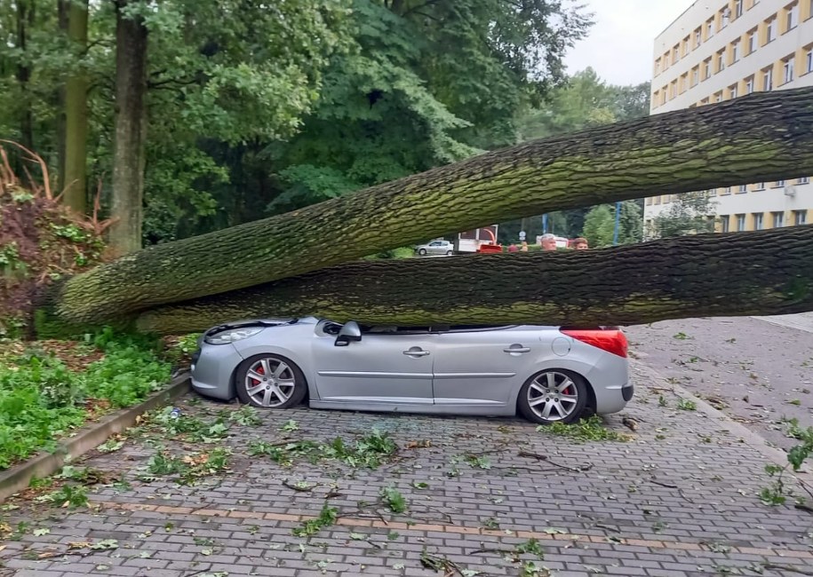 Zniszczenia po burzy na Podkarpaciu /Straż Pożarna Rzeszów /