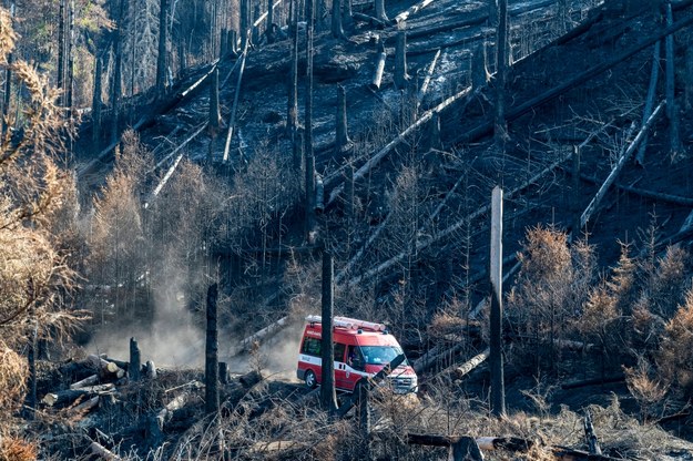 Zniszczenia po pożarze w Czeskiej Szwajcarii /	Ondrej Hajek /PAP/EPA