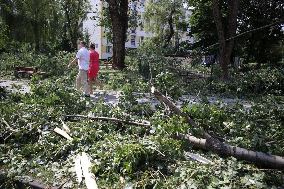 Zniszczenia po sobotniej nawałnicy /Łukasz Gagulski /PAP