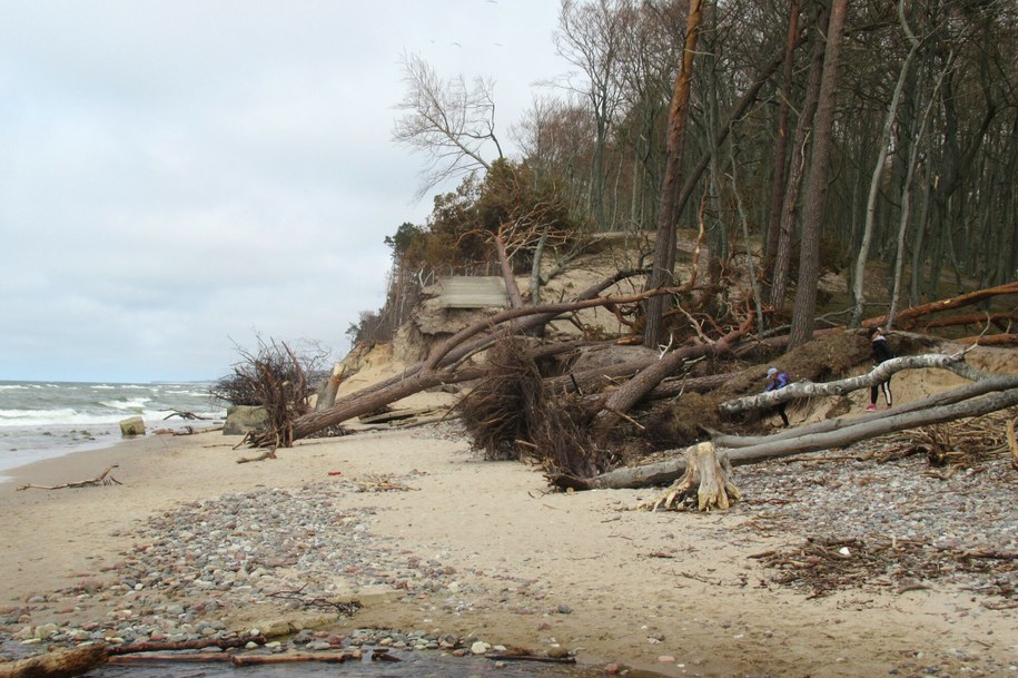 Zniszczenia po sztormie w miejscowości Orzechowo Morskie koło Ustki /Marek Bazak /East News