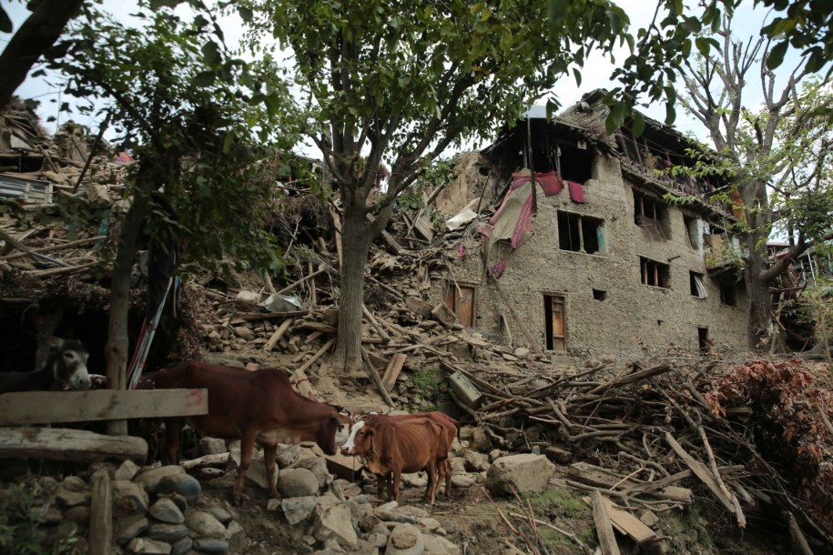 Zniszczenia po trzęsieniu ziemi w Afganistanie /SAMIULLAH POPAL /PAP/EPA