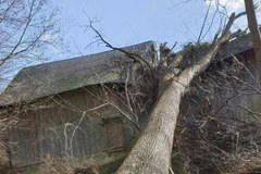 Zniszczenia po wichurach. Wyrwane drzewa, zerwane dachy
