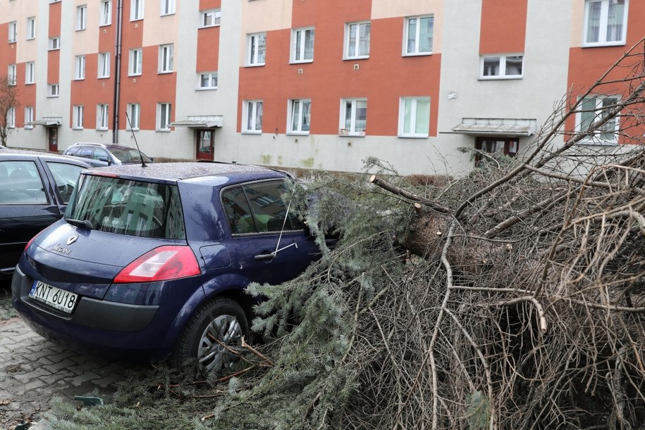 Zniszczenia po wichurze w Nowym Targu / 	Grzegorz Momot    /PAP