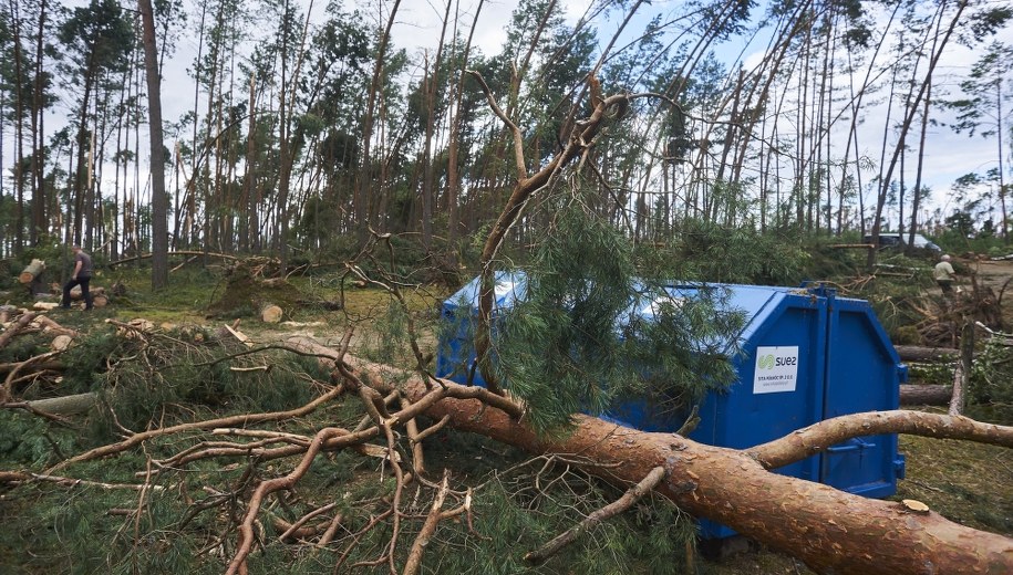 Zniszczenia przy obozie w Suszku /Dominik Kulaszewicz /PAP