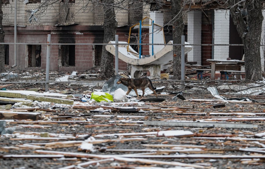 Zniszczenia w Browarach /SERGEY DOLZHENKO /PAP/EPA