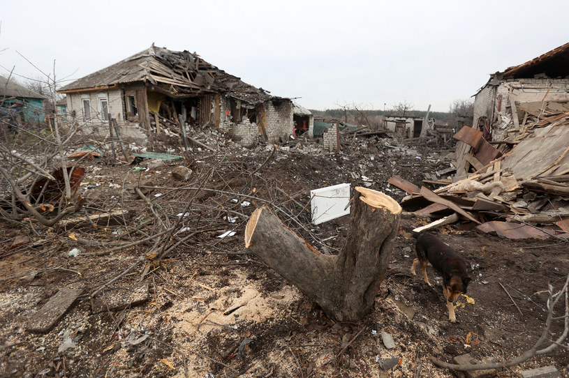 Zniszczenia w obwodzie ługańskim /Anatolii Stepanov/AFP /AFP