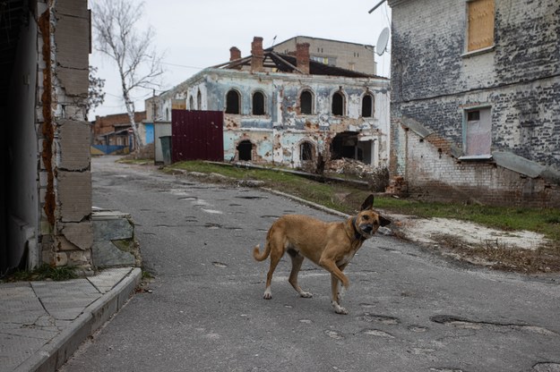 Zniszczenia w wyniku rosyjskiego ostrzału w mieście Izium w obwodzie charkowskim /EUGENE TITOV /PAP