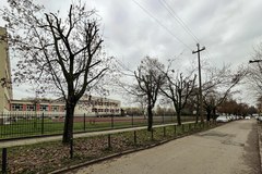 Zniszczone drzewa przy ul. Socjalnej w Łodzi 